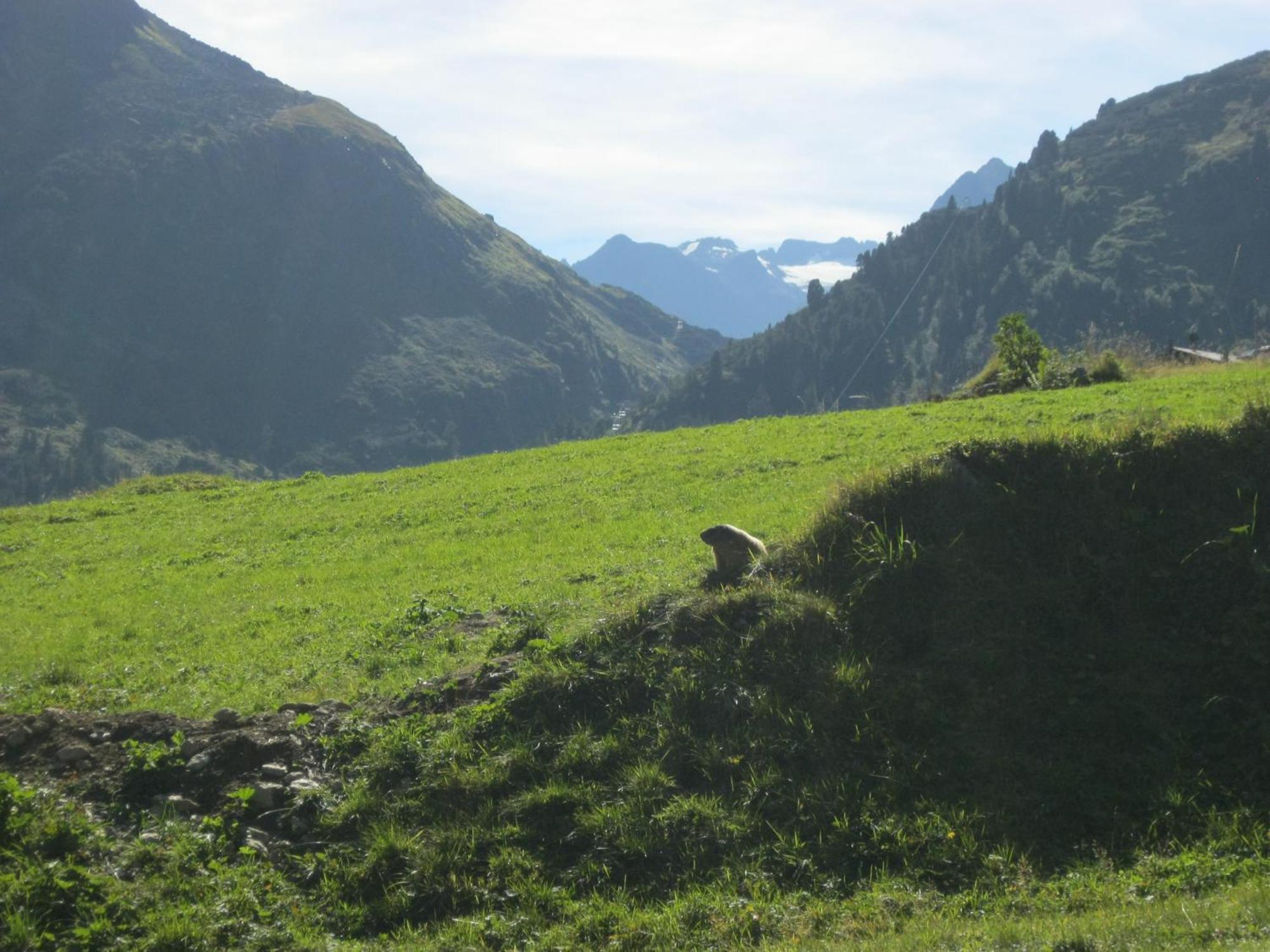Ferienhaus Stubai Neustift im Stubaital Exterior foto